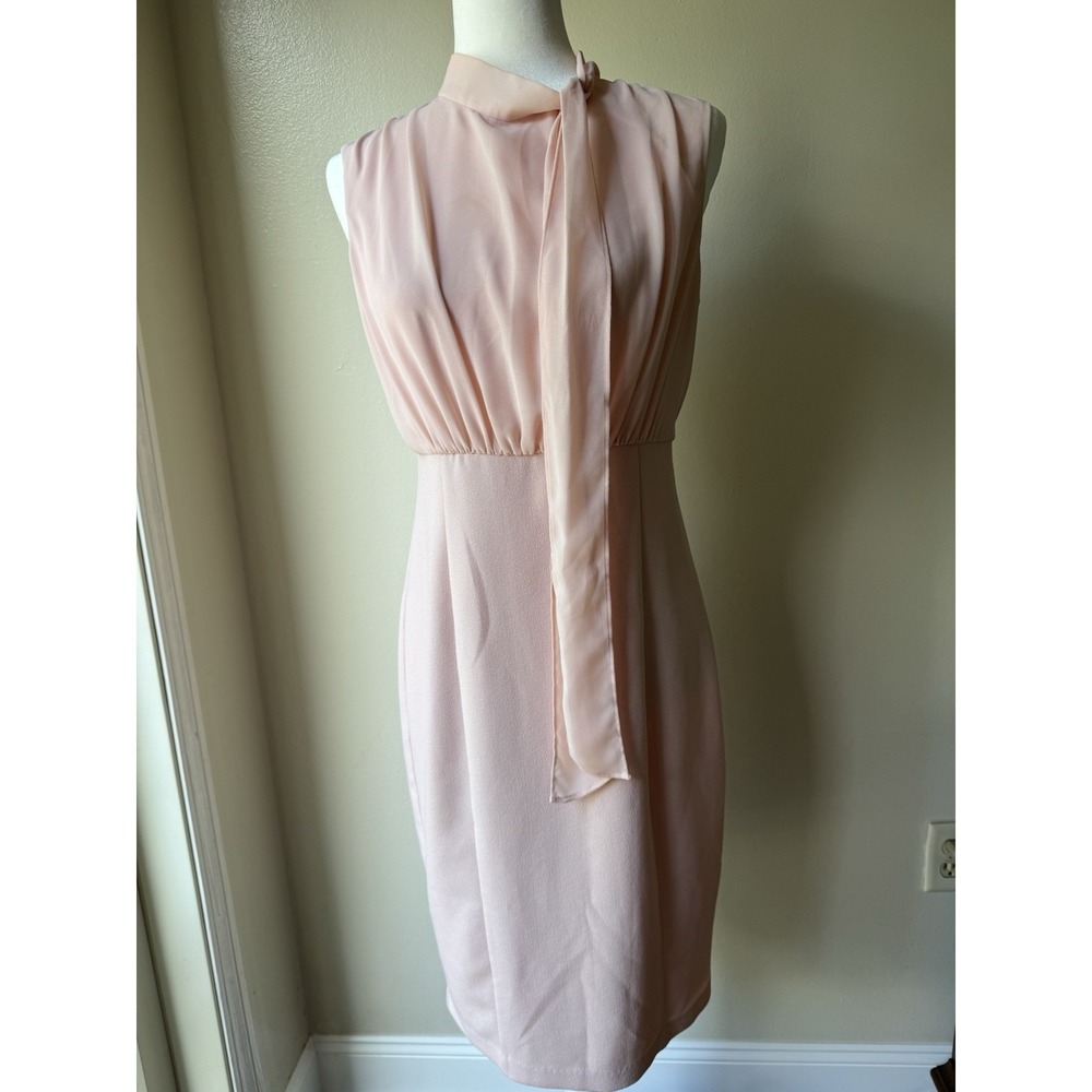 Vince Camuto Women's Size 8 Blush Chiffon and Crepe Body Con Dress